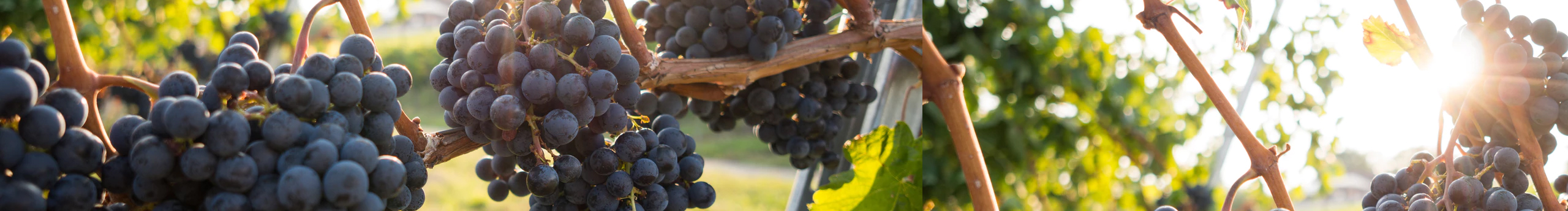 彩虹歡的個人主頁（封面預(yù)覽） - 主頁封面設(shè)置 - 站酷設(shè)計師彩虹歡原創(chuàng)素材 - 站酷ZCOOL