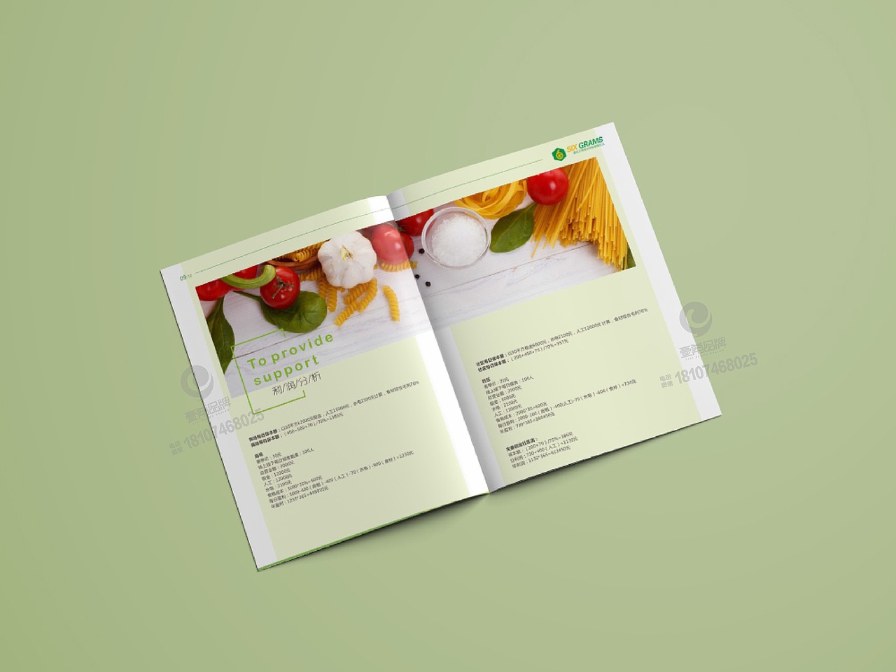 一希品牌设计--六克轻食加盟画册宣传册设计