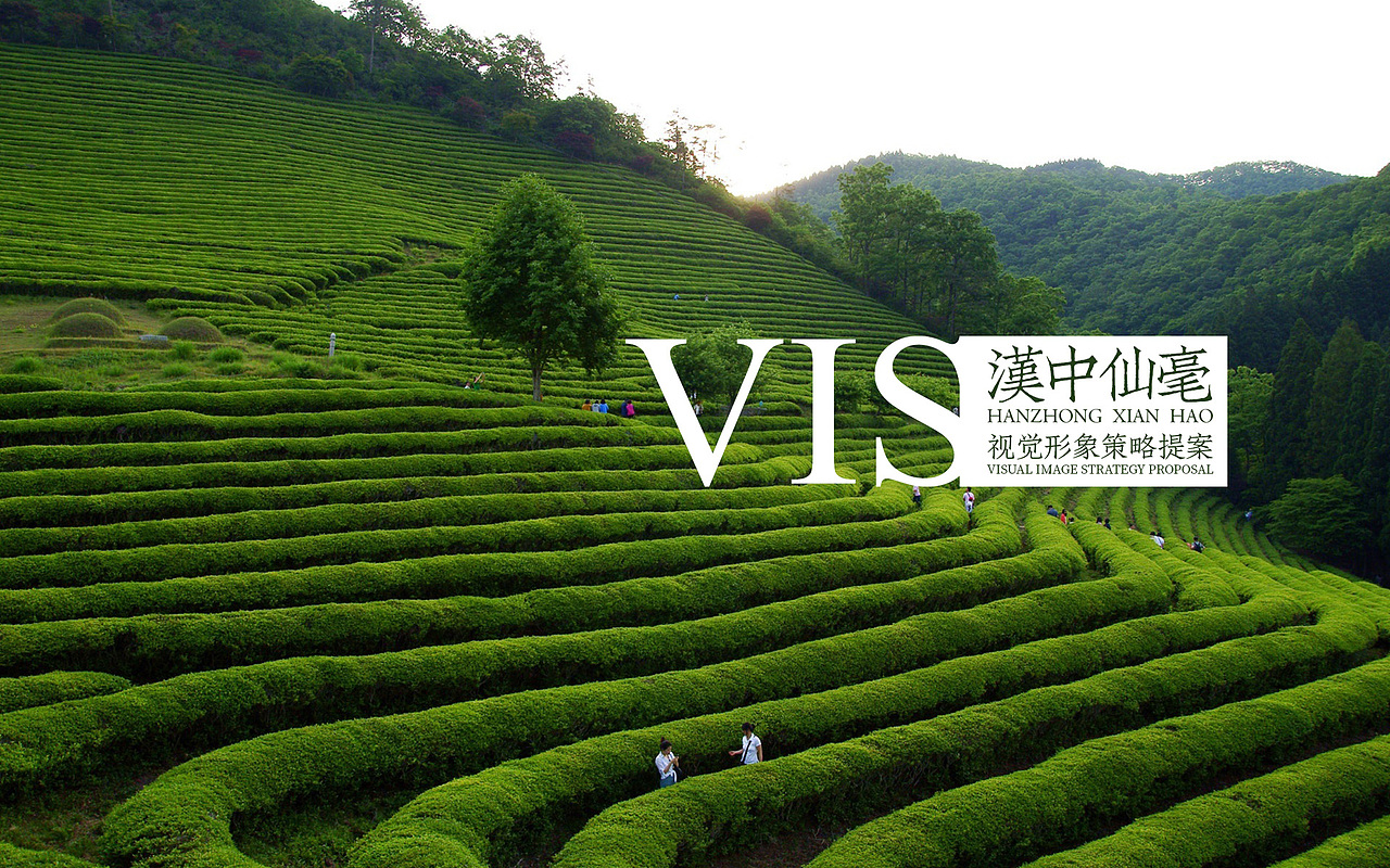 汉中仙毫品牌形象设计探究