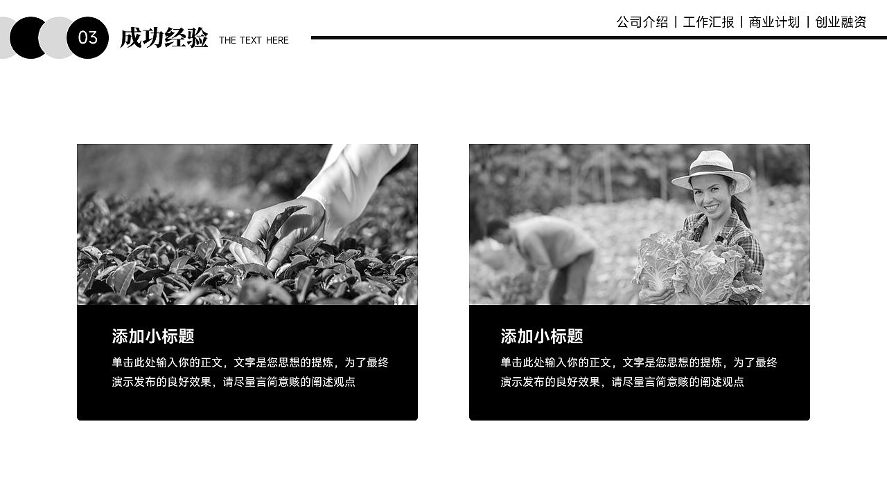 免费PPT模板!农业农村乡村振兴PPT!