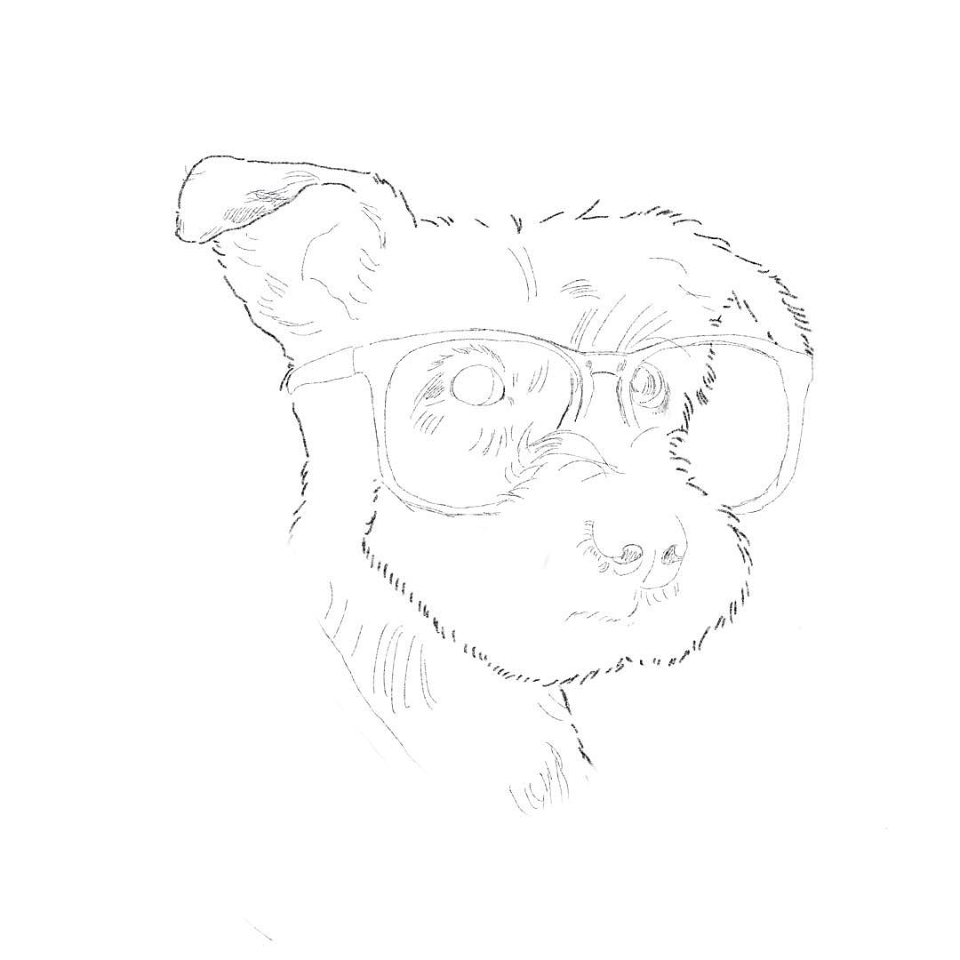 proceate打卡创意插画