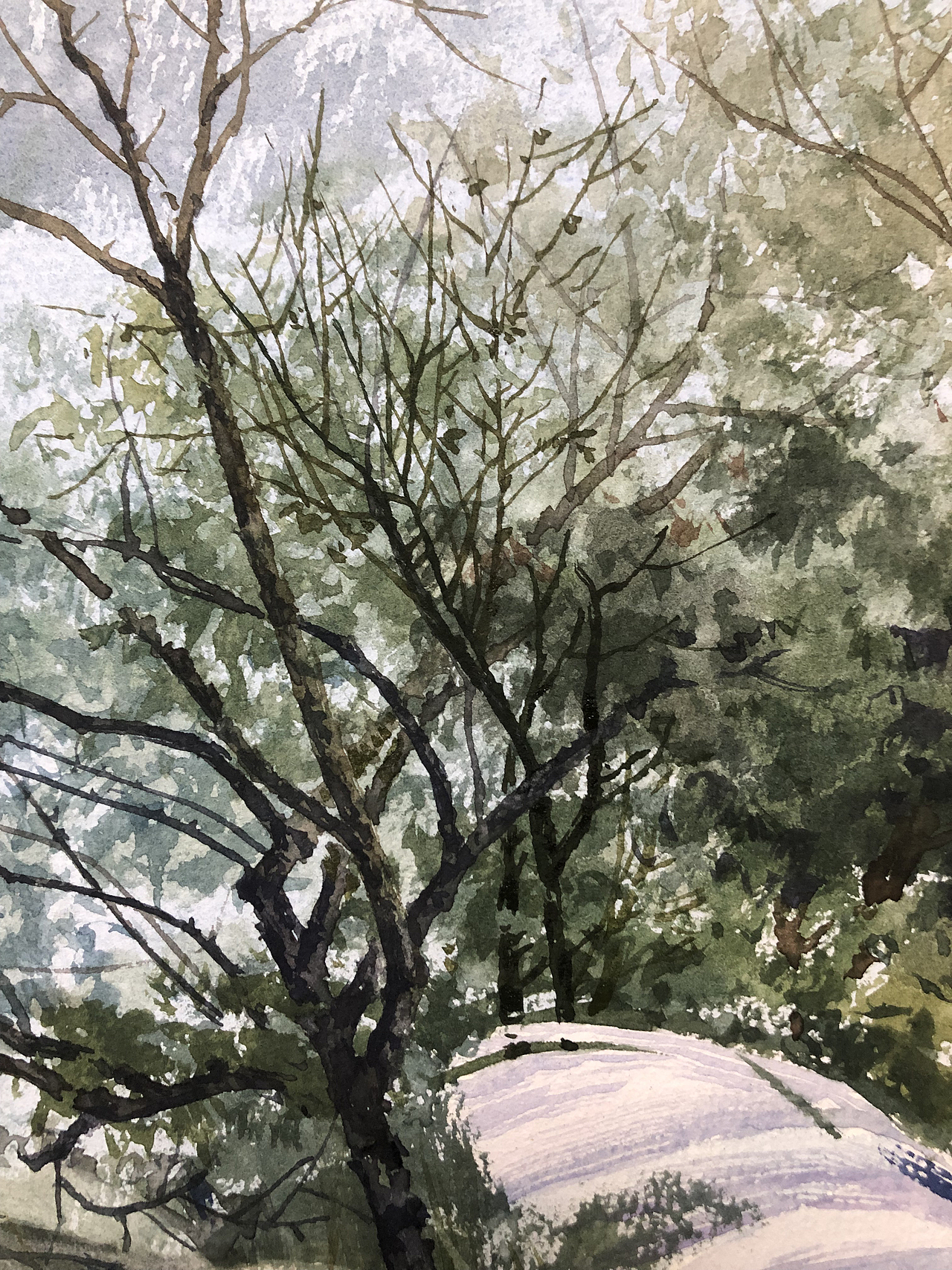 水彩风景——冬日的风声(又是无私奉献的高清步骤)