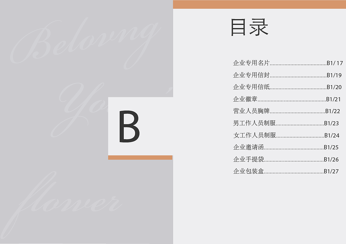 VI视觉规范（图ZMTM3Mjg0ODU2） - 其他平面 - 站酷设计师青舍原创素材 - 站酷ZCOOL