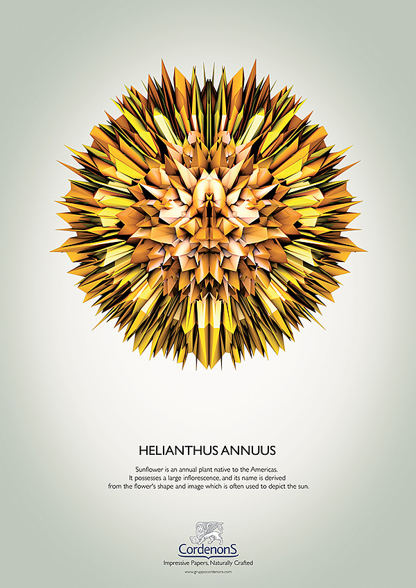 Cordenons - Impressive Papers Naturally Crafted