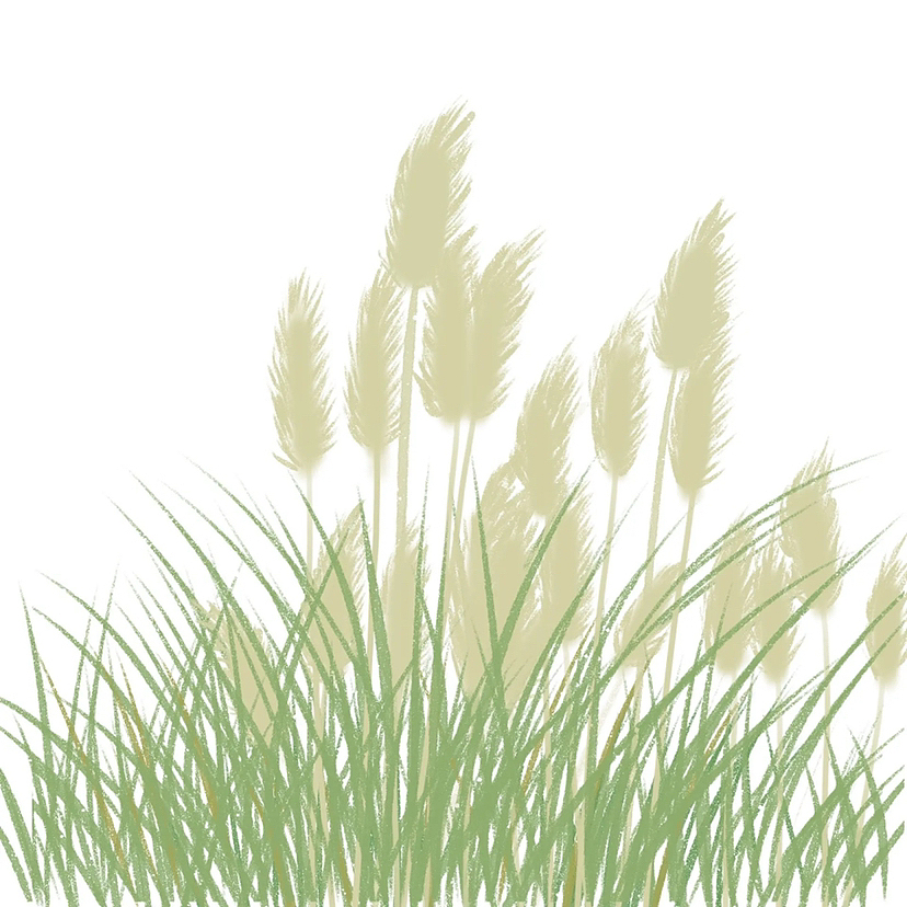 手绘速写打卡D3