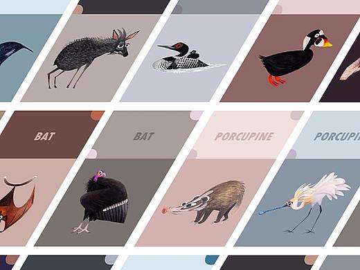 50个动物临摹—《每日一画系列》（个人主页-ZNDUzOTczOTI=） - 艺术插画 - 站酷设计师洛涂洛画原创素材 - 站酷ZCOOL