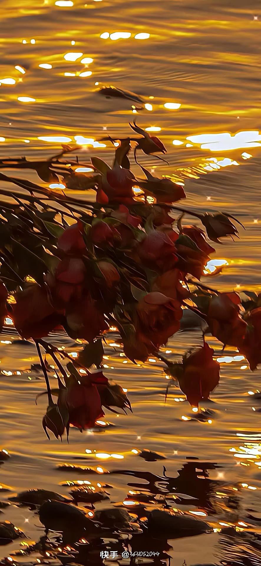 美丽的风景,最值得我们观赏!!