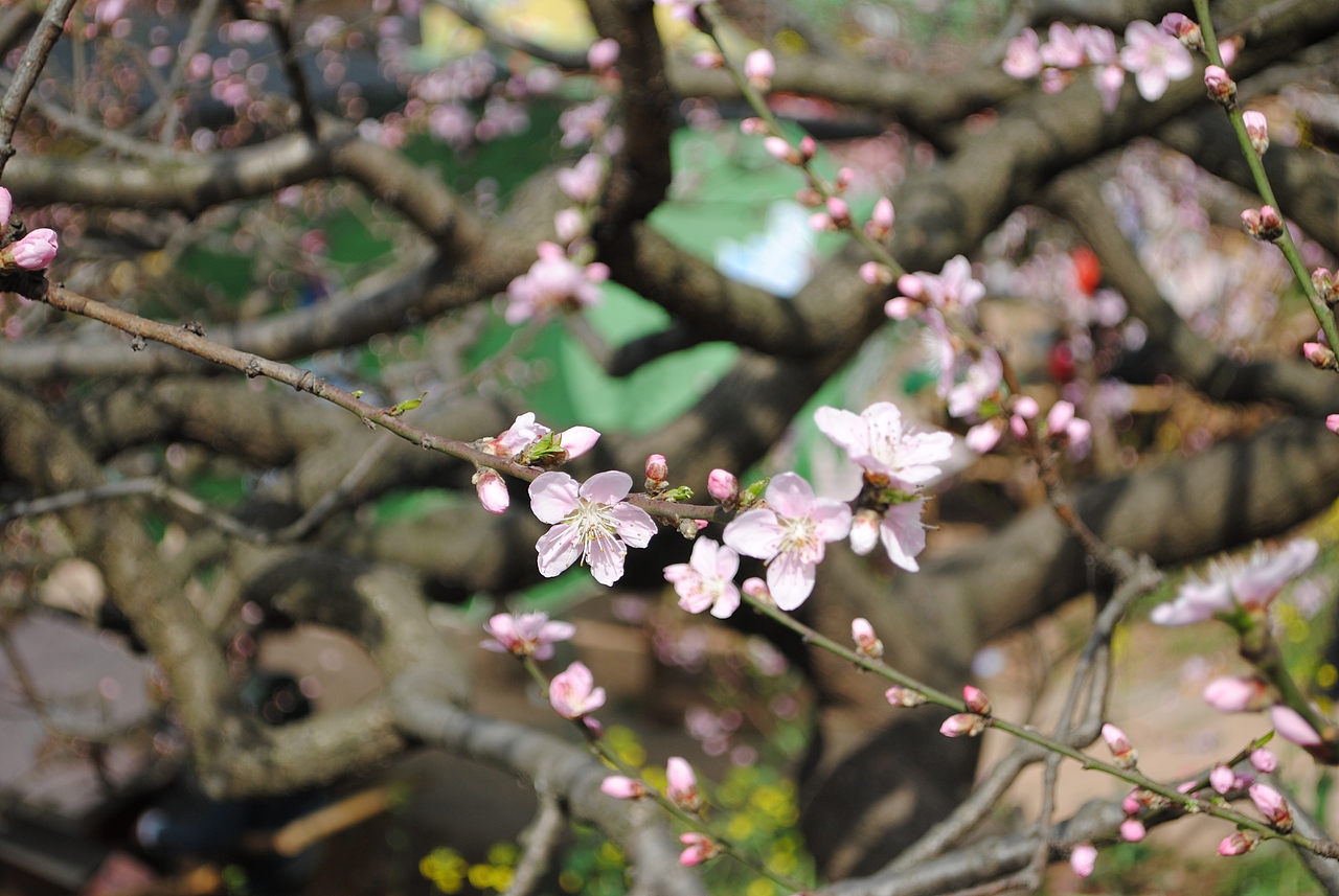 那些很美的地方不属于我（图ZNTMyMDgwOA==） - 风光摄影 - 站酷设计师欧阳紫嫣原创素材 - 站酷ZCOOL