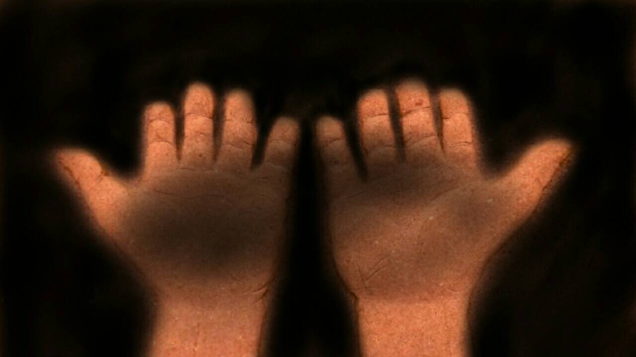 【脑世绘·集(81-90)】