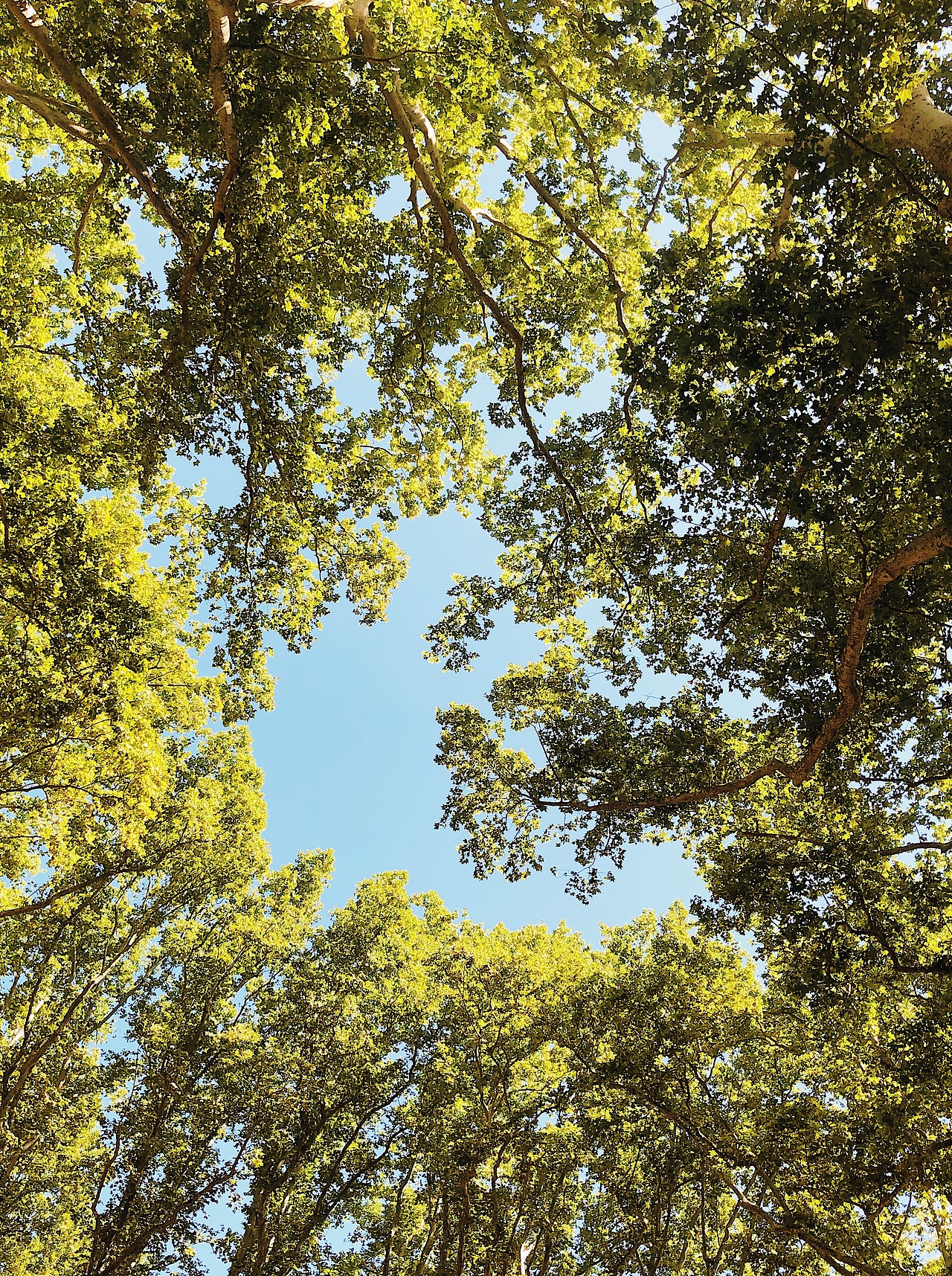 My Travelling in Europe <Spain&France>