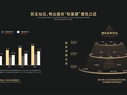 PPT汇报