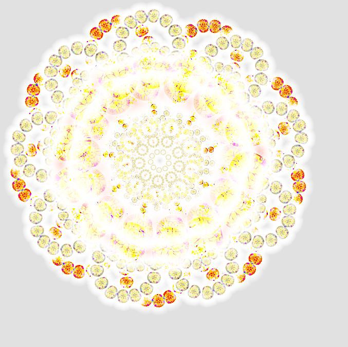 -璀璨明珠 与你共赏