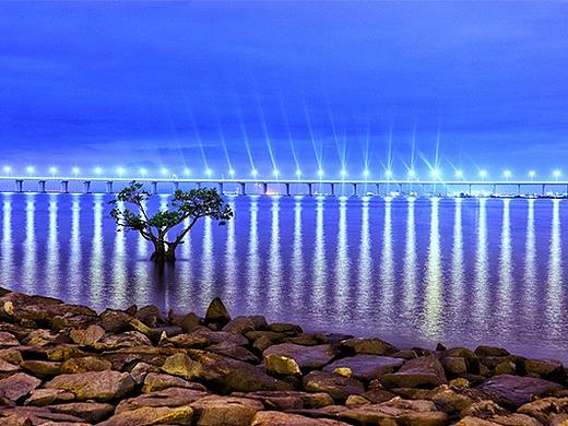 深圳西湾红树林的夜景