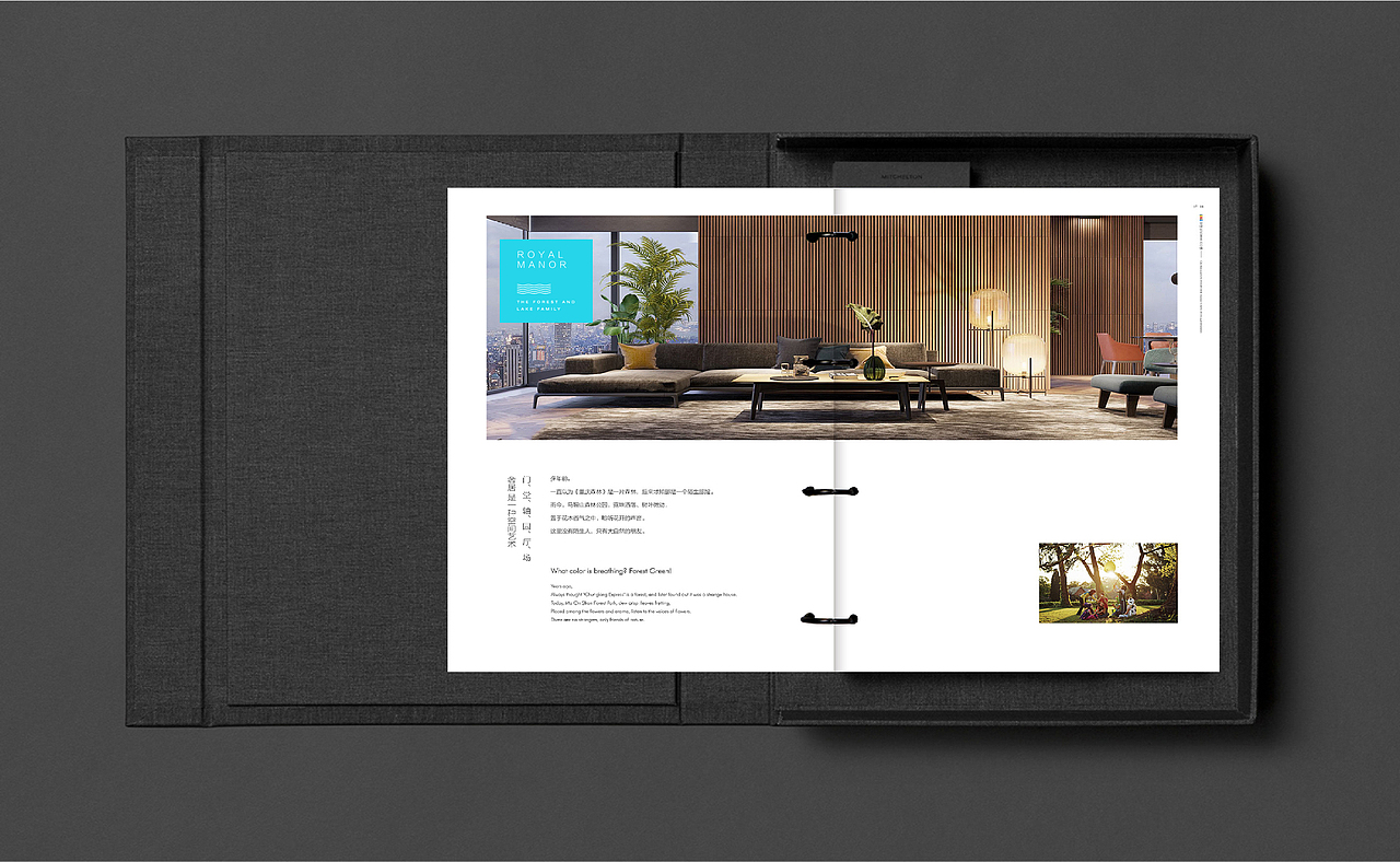 地产篇·中骏汇景城项目