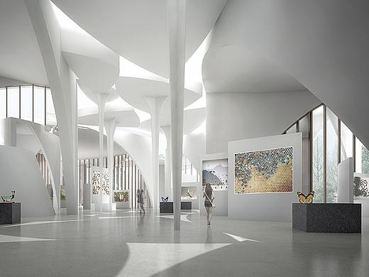 SOA新空间设计 — 昆虫博物馆