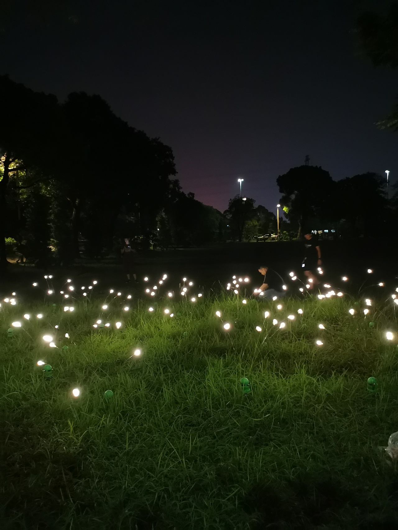 找动态萤火虫上铭星灯光工厂专业生产摇曳萤火虫草坪灯
