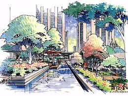 景观手绘硫酸纸上色/苗苗老师