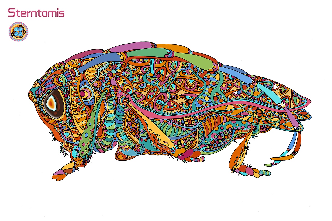 原创系列作品-《可爱的生命》-No.1、No.2