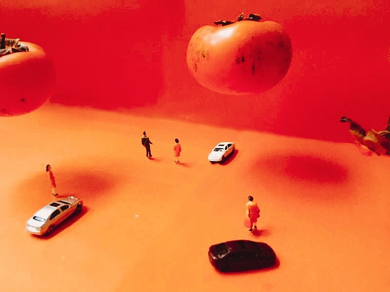 奇妙的小人世界-柿子红了