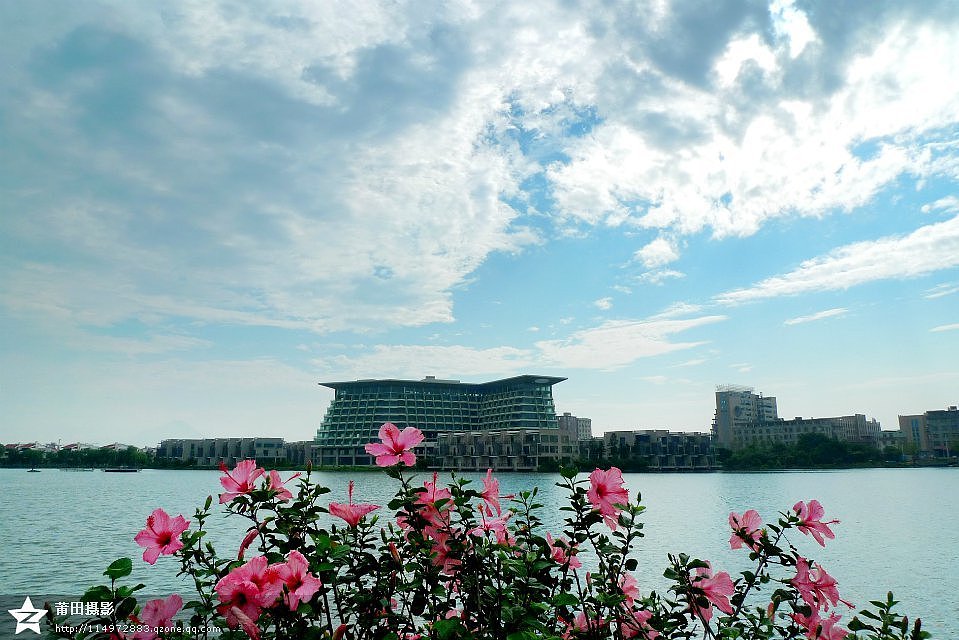 2014白塘印象(李辉作品)