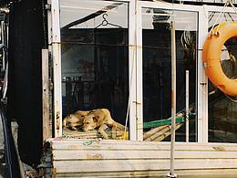 《生活里的小確幸》手機(jī)攝影