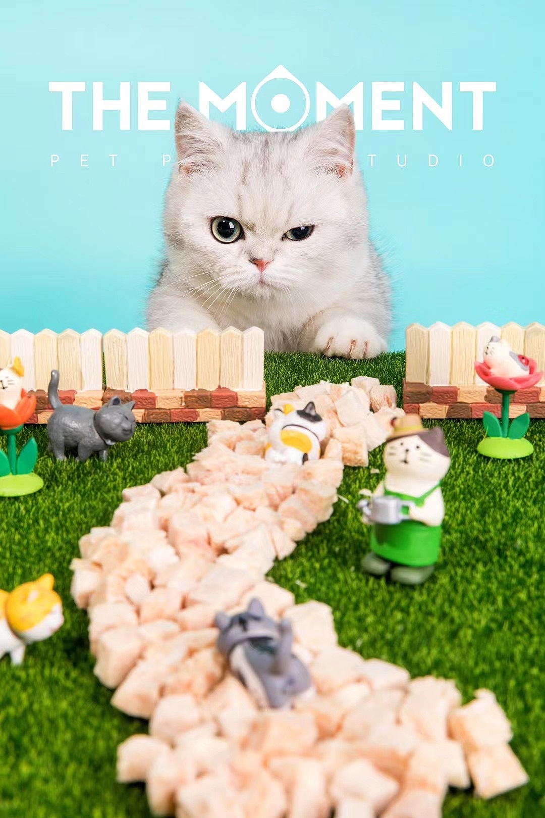 小猫咪能有什么坏心思