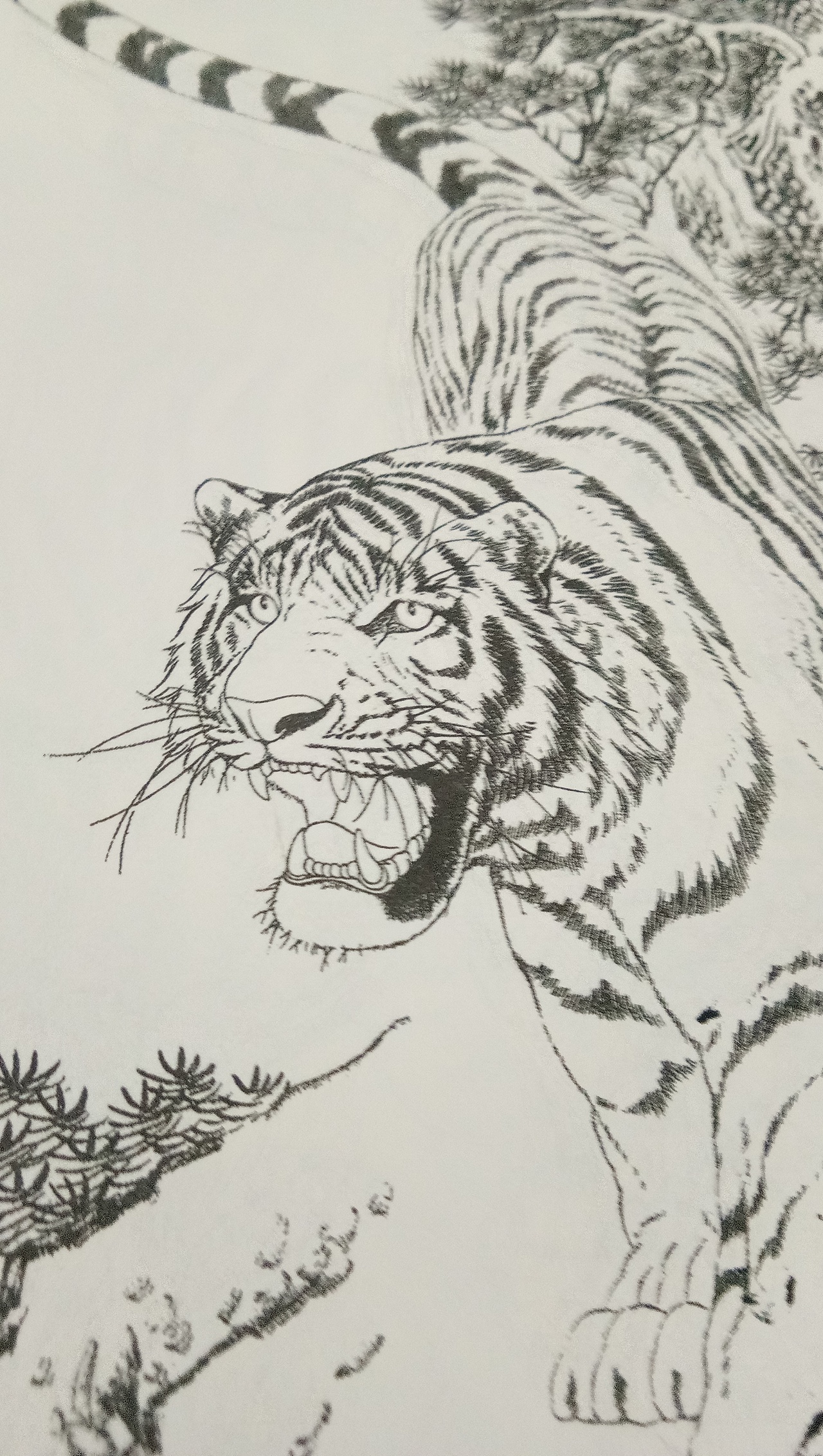 日常白描练习（图ZMTg1MzEyNjg4） - 绘画 - 站酷设计师你微笑时好美tcl原创素材 - 站酷ZCOOL