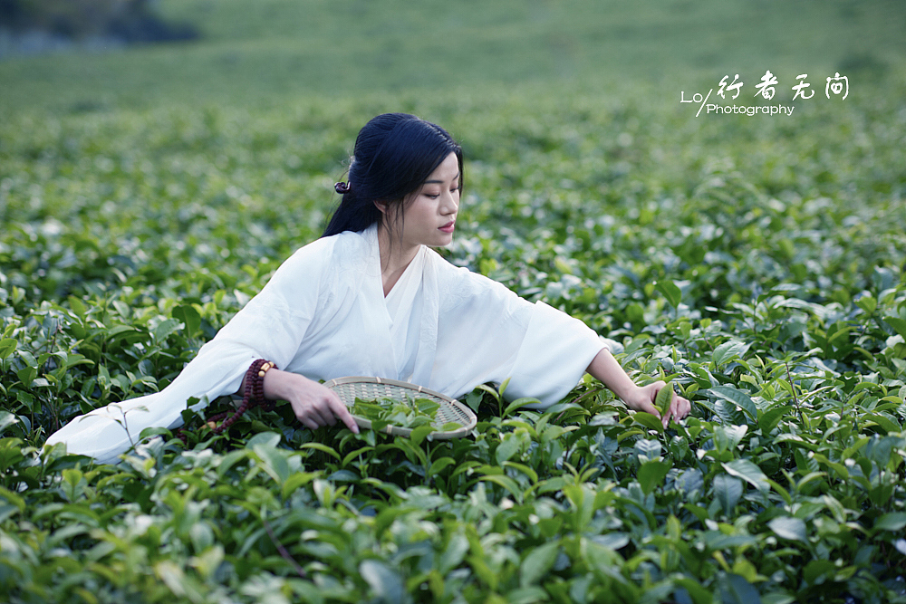 茶园&秋语（图ZMjc2NjE0MzY4） - 人像摄影 - 站酷设计师广州摄影师罗玲荣原创素材 - 站酷ZCOOL