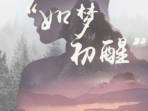 如梦初醒  临摹海报