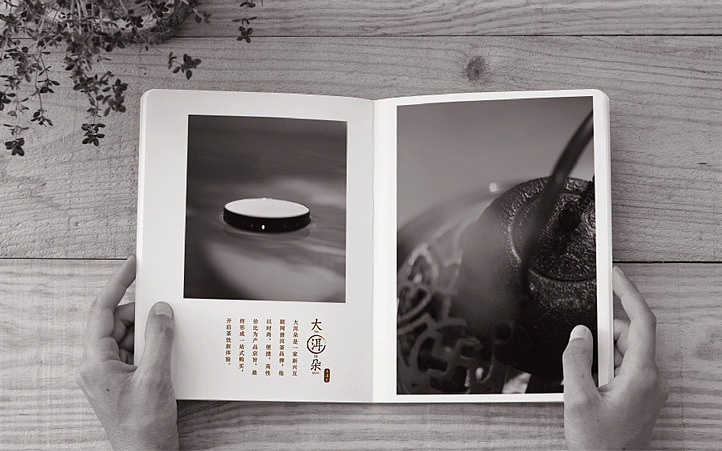 大洱朵|美御品牌策划设计