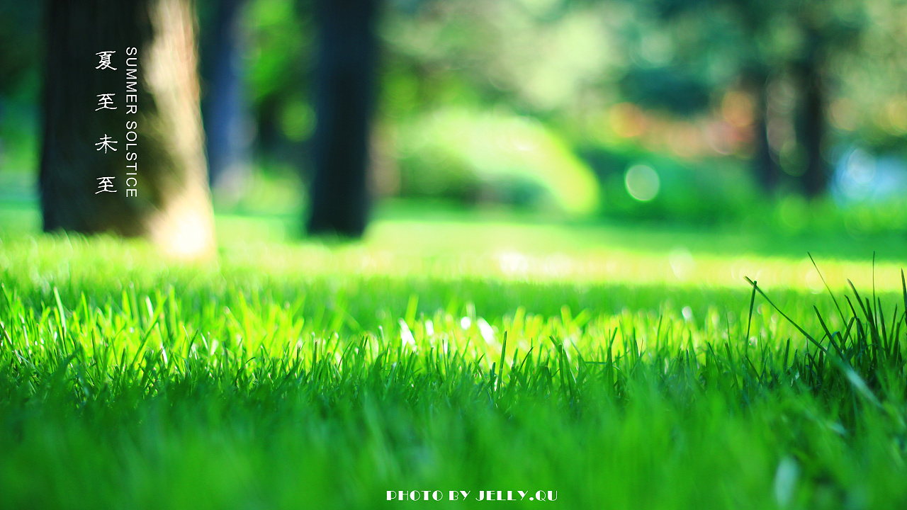 故宫印象 北京故宫 北京摄影 北京印象 景山公园 晴天