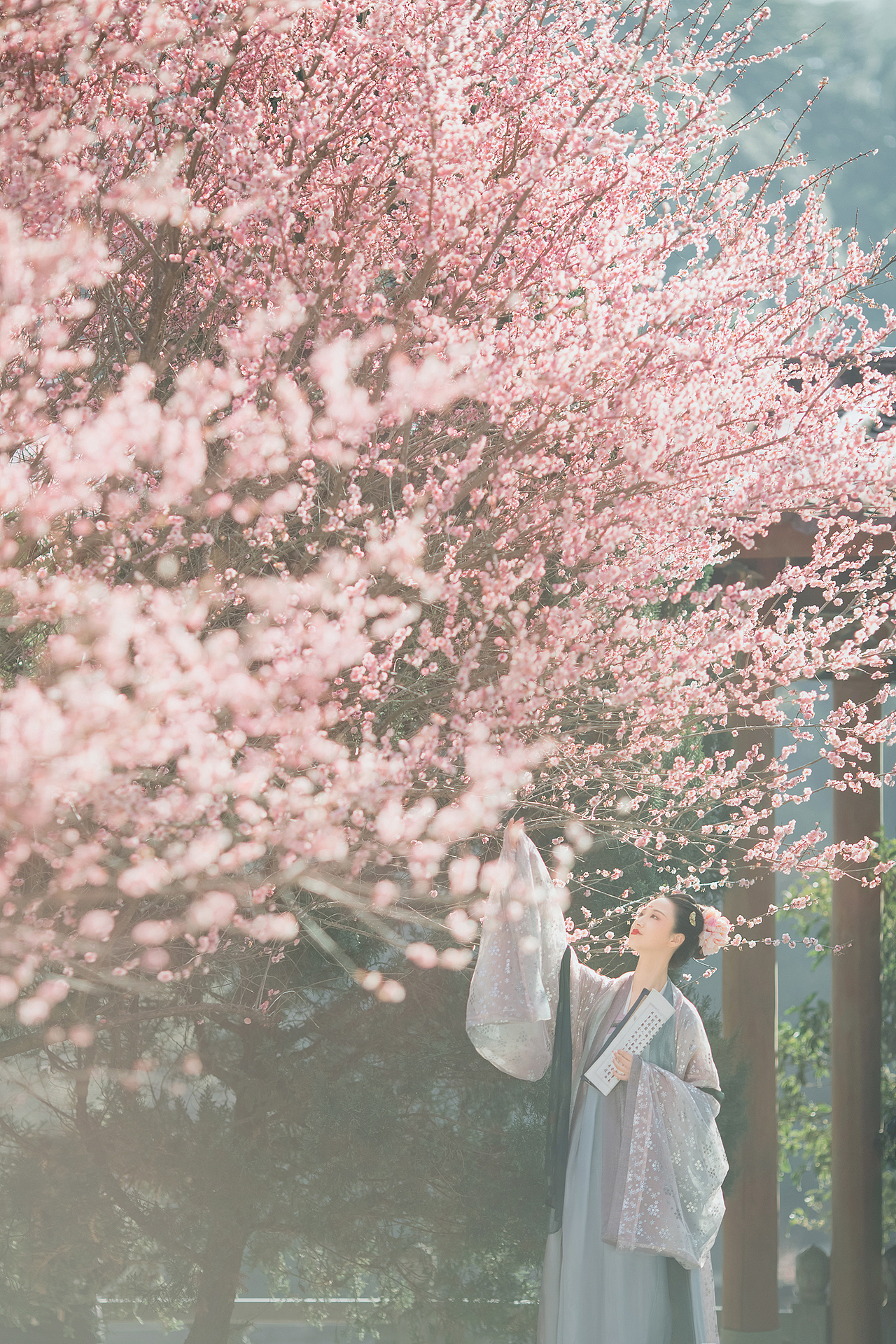 梅妃 · 一斛珠（图ZMTQxNTE2Mjky） - 人像摄影 - 站酷设计师藤末原创素材 - 站酷ZCOOL