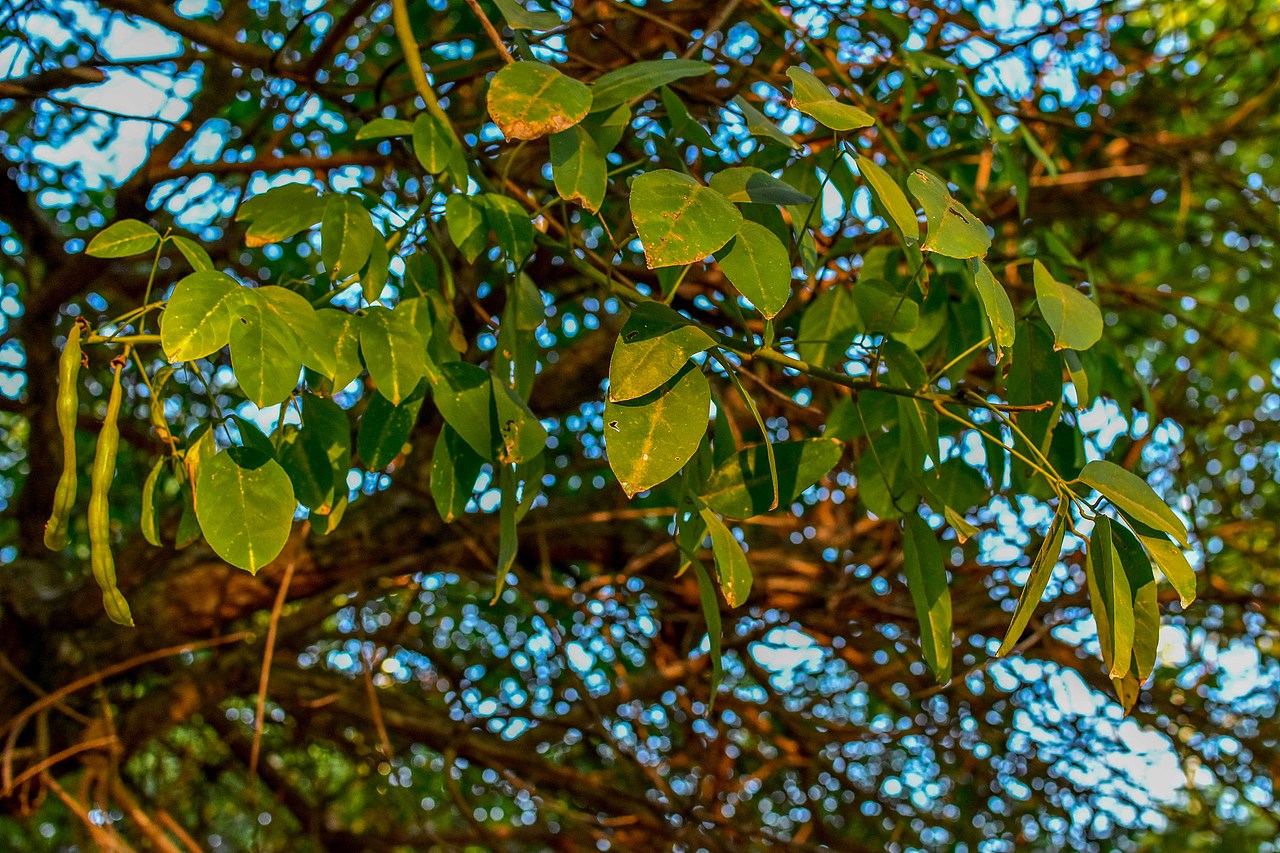 2019橙月 . 迟（图ZMjI2NzAzODc2） - 人文/纪实摄影 - 站酷设计师川页君原创素材 - 站酷ZCOOL