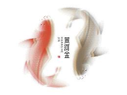 黄河金鲤鱼工坊