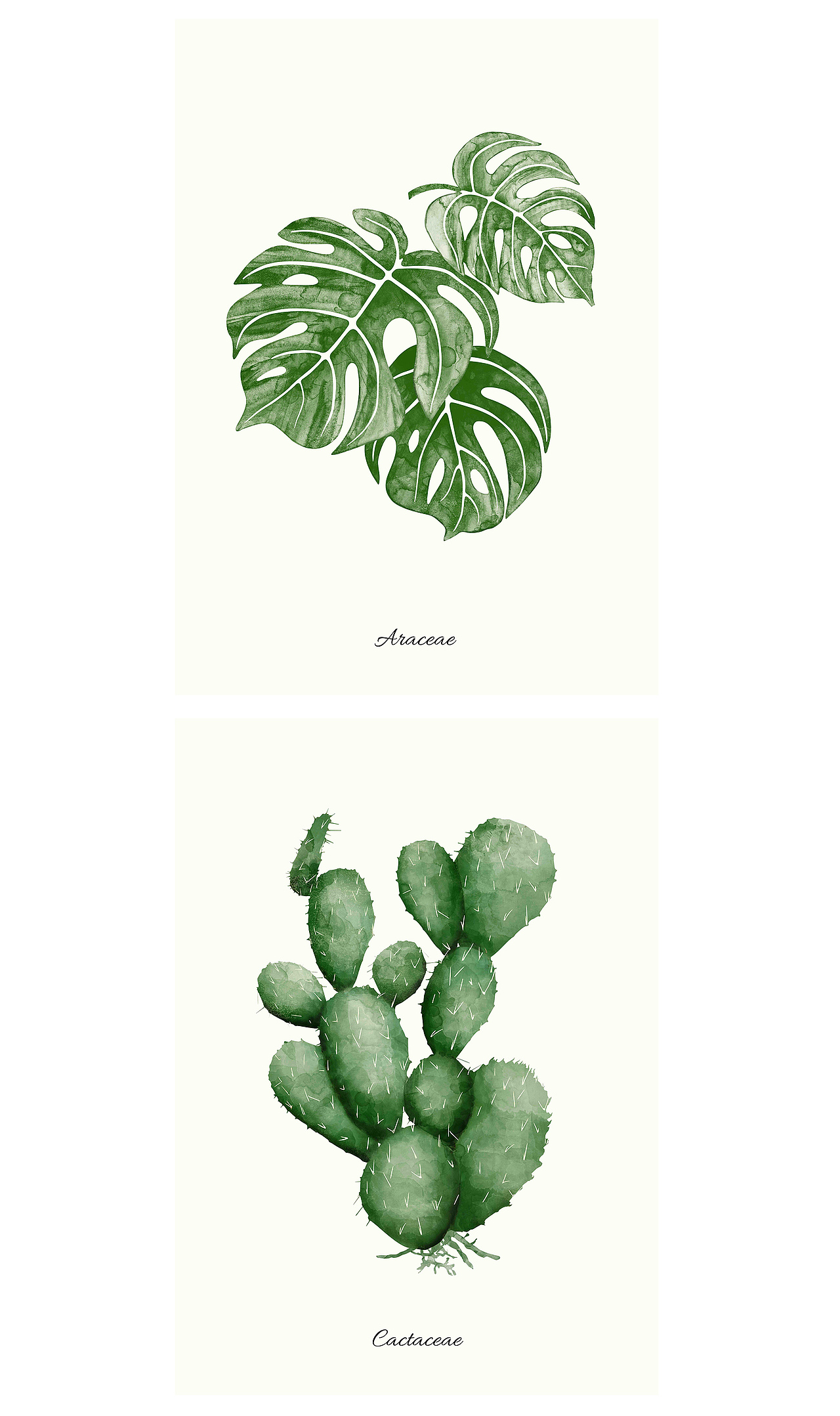 叶子插画（图ZMTI3MjQxNjMy） - 商业插画 - 站酷设计师粉沫yu原创素材 - 站酷ZCOOL