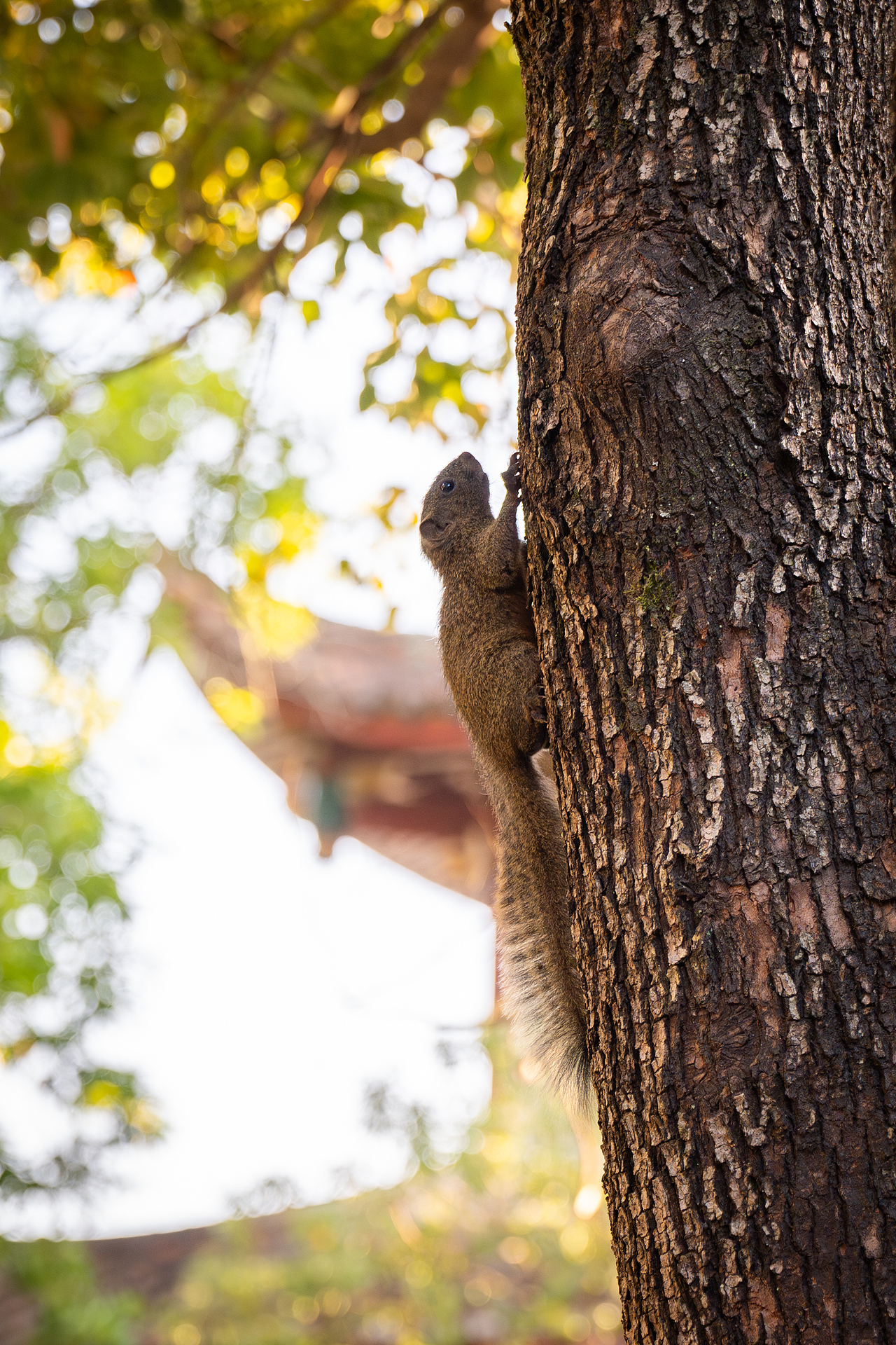 2021-2023丨年度摄影总结（图ZMzU4ODkyMDcy） - 其他摄影 - 站酷设计师陈子奕原创素材 - 站酷ZCOOL