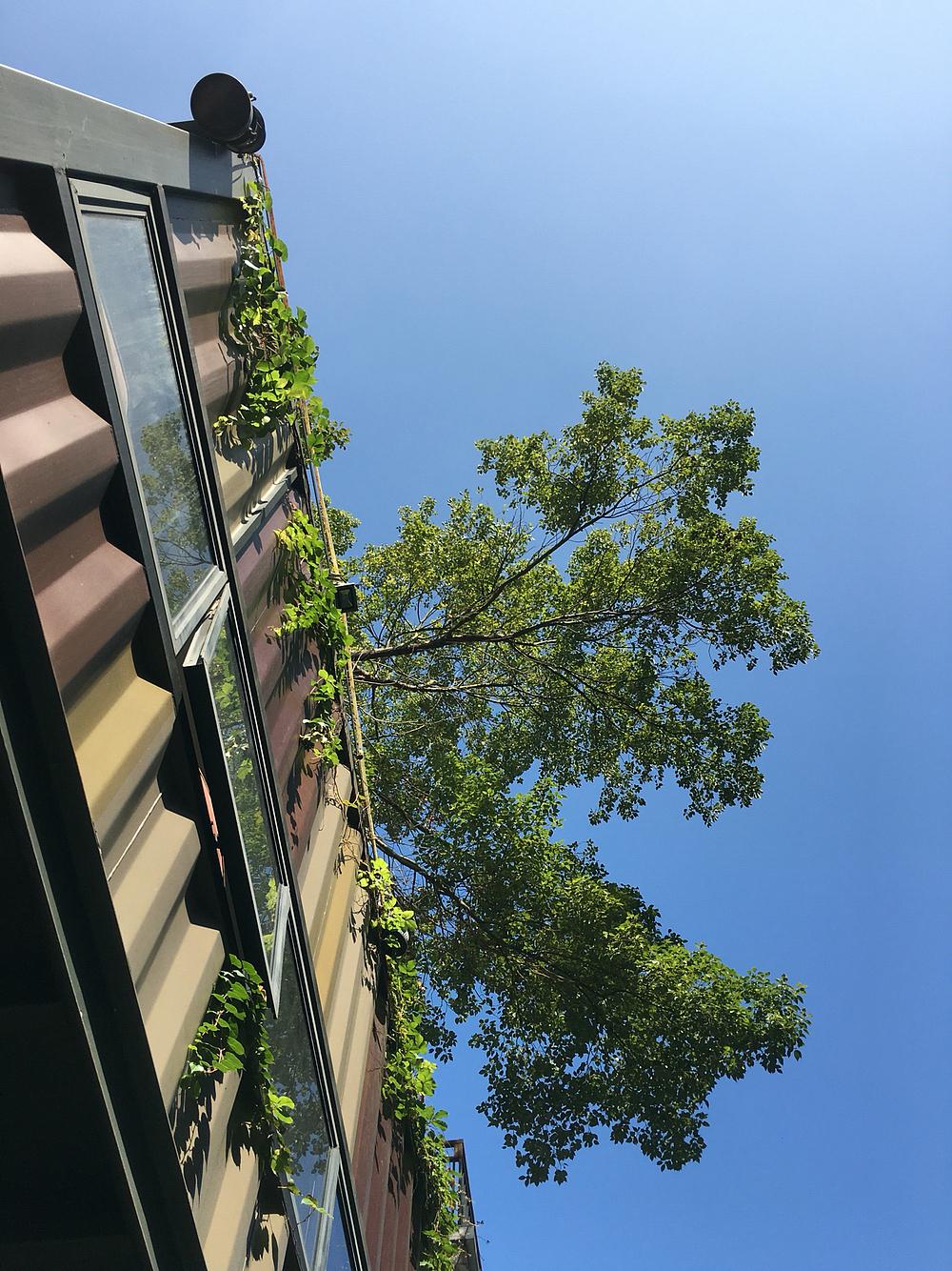 深圳（图ZMzk0MDc2ODA=） - 风光摄影 - 站酷设计师钟意设计创始人原创素材 - 站酷ZCOOL