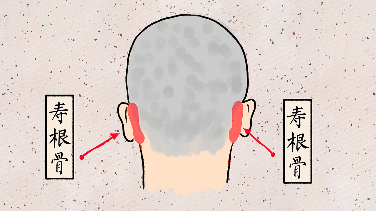 优酷《相征》骨相篇配图（图ZMzUzNjI0ODQ=） - 商业插画 - 站酷设计师顾所长原创素材 - 站酷ZCOOL