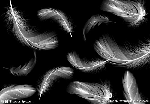 预见视觉的个人主页（背景预览） - 主页背景设置 - 站酷设计师预见视觉原创素材 - 站酷ZCOOL