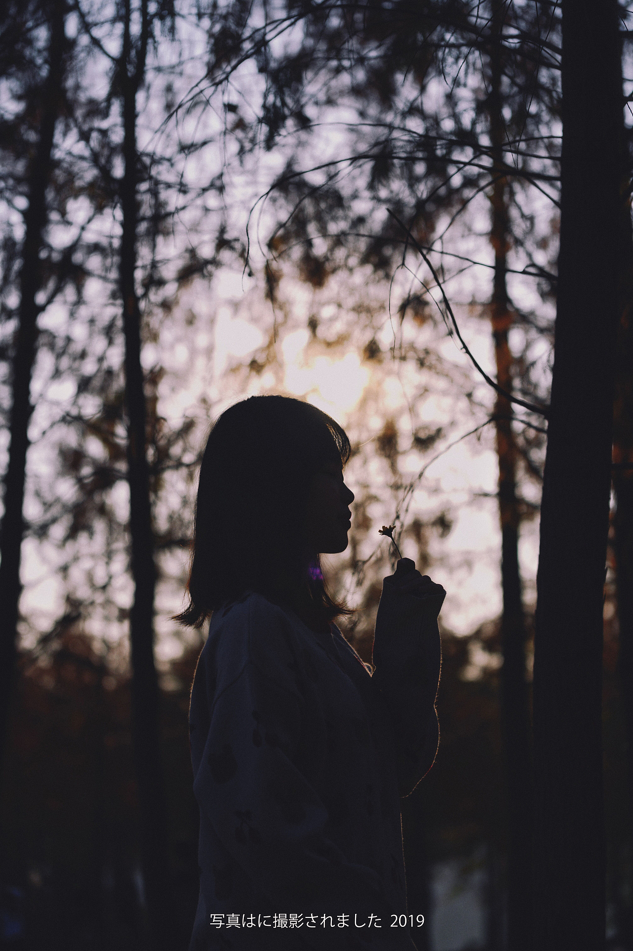 秋（图ZMTk4Mjg5MTMy） - 人像摄影 - 站酷设计师短发与少年i原创素材 - 站酷ZCOOL