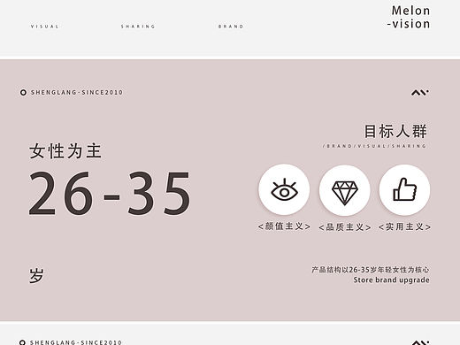 圣浪品牌新视觉分享