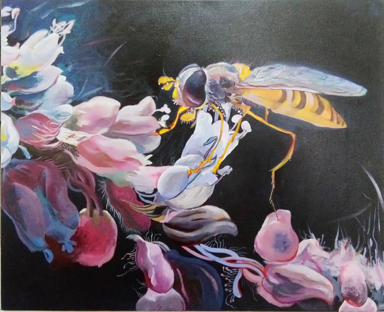 彩铅手绘——小蜜蜂|纯艺术|彩铅|布衣唐 - 原创作品 - 站酷 (ZCOOL)