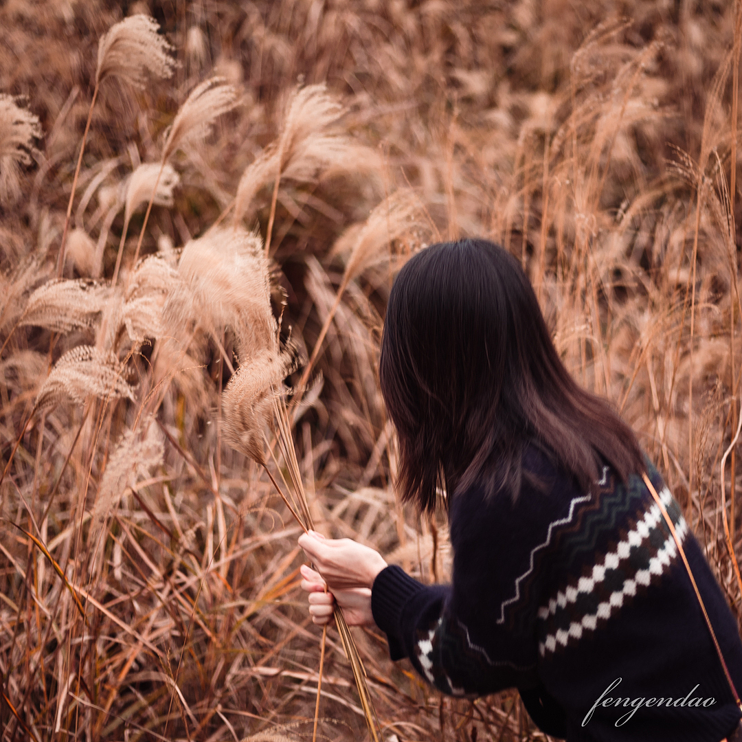 去不了大西北那就去大罗山逛逛吧～（图ZMjM4MTYwMzMy） - 人像摄影 - 站酷设计师fengendao_原创素材 - 站酷ZCOOL