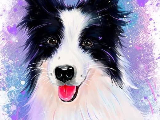 美颜狗狗