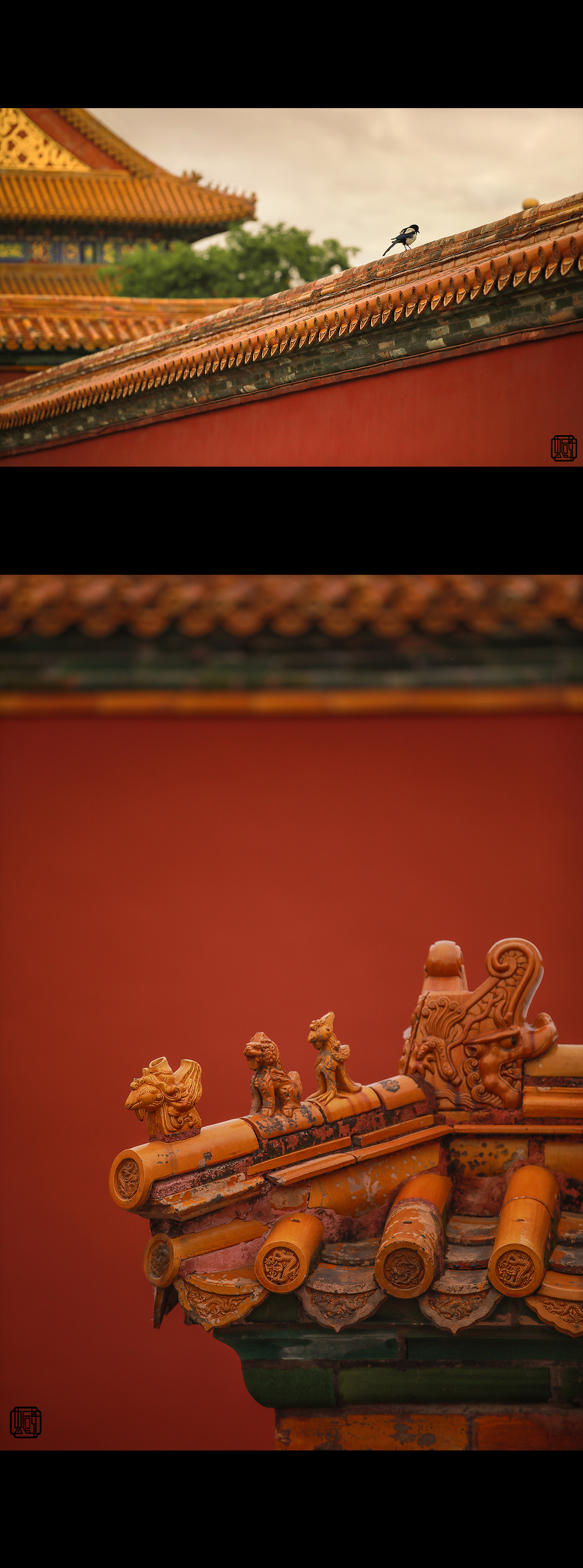 故宫（图ZMjE1OTc4NDEy） - 风光摄影 - 站酷设计师摄影师蝈蝈小姐原创素材 - 站酷ZCOOL