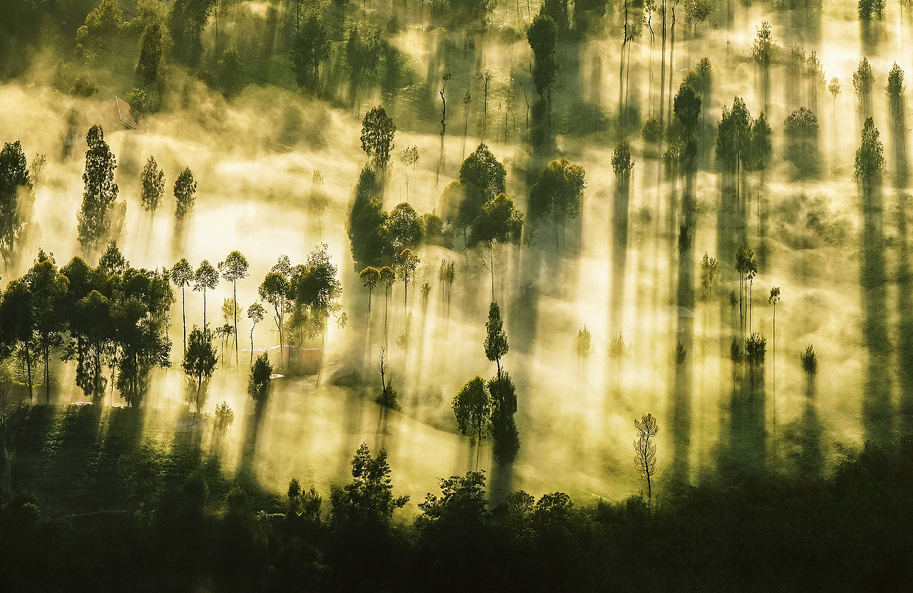 桂林大河2019年摄影总结（图ZMTkxOTE5NDY4） - 风光摄影 - 站酷设计师桂林大河原创素材 - 站酷ZCOOL