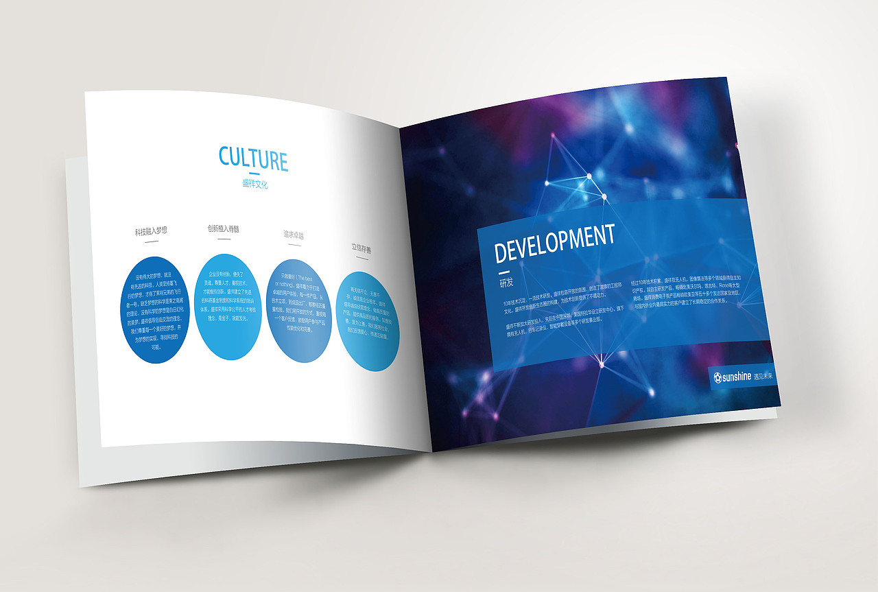 2016年-盛详画册