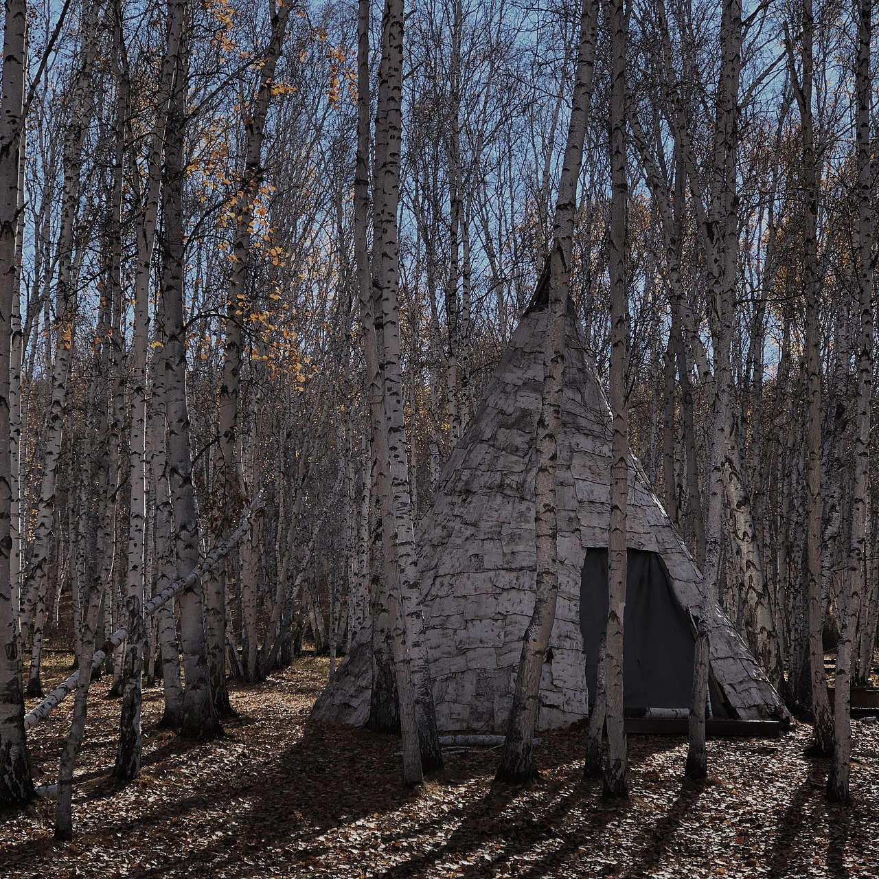 翻出来一些旧图