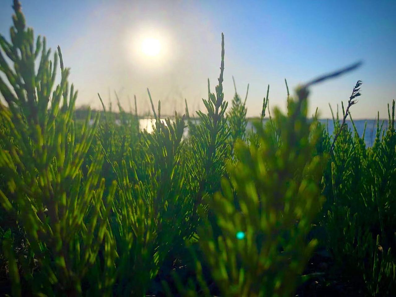 大自然的油画（图ZMjYxOTkyNjQ4） - 风光摄影 - 站酷设计师冷面呆呆原创素材 - 站酷ZCOOL