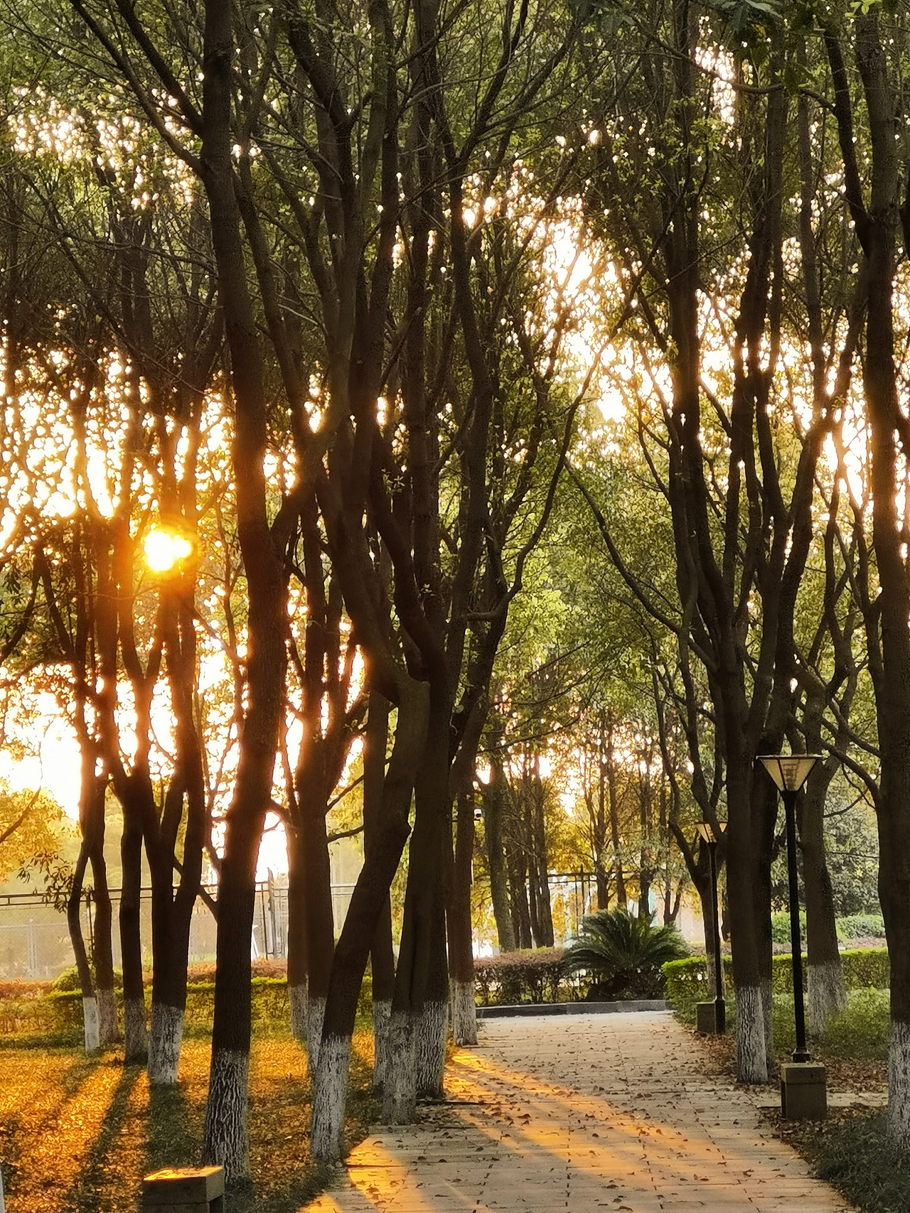 黎明之光（图ZMjYzMTQzMTEy） - 风光摄影 - 站酷设计师昏昏jj原创素材 - 站酷ZCOOL